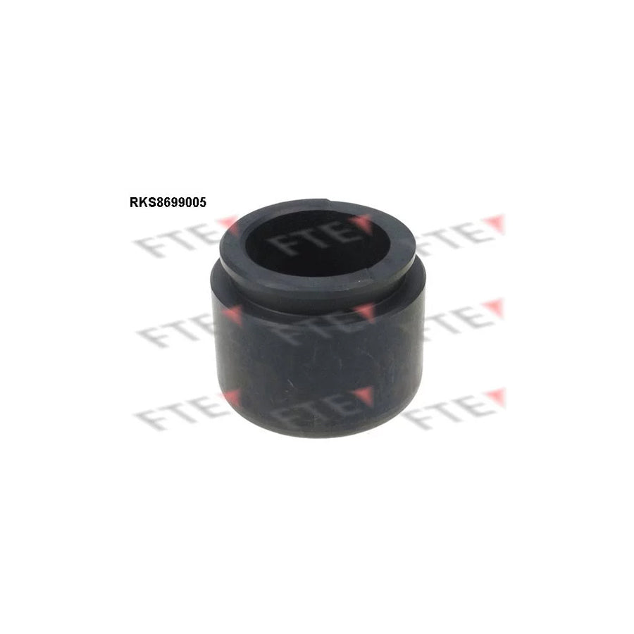 FTE Rks8699005 Piston, Brake Caliper