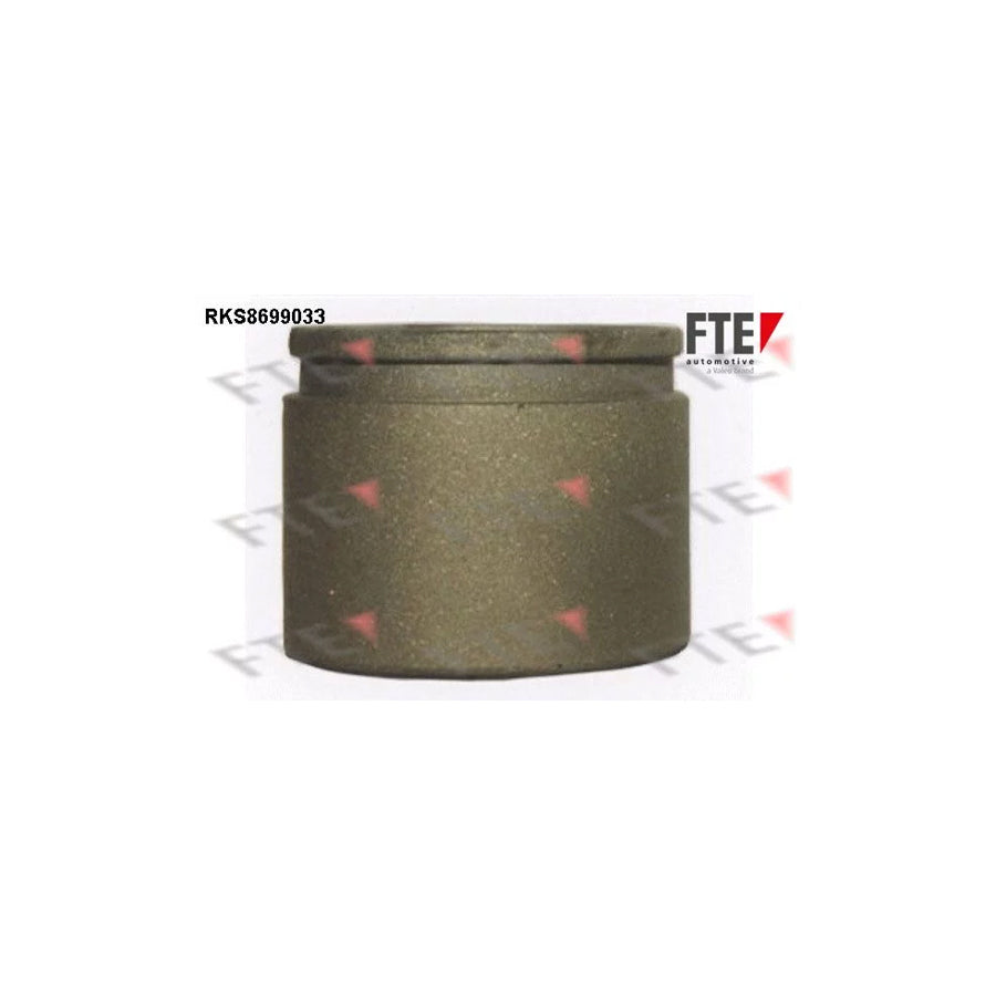 FTE Rks8699033 Piston, Brake Caliper