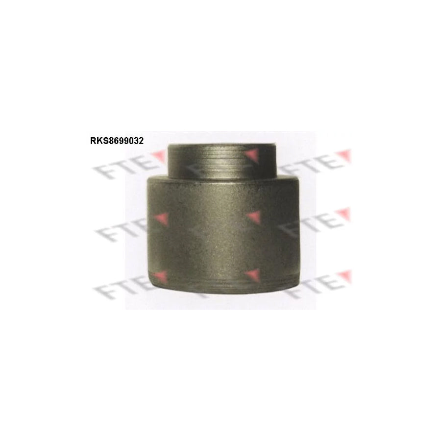 FTE Rks8699032 Piston, Brake Caliper