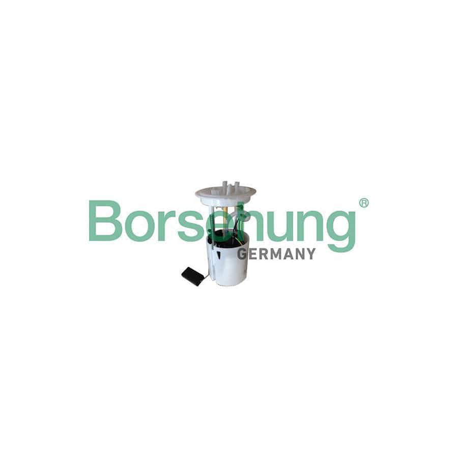 Borsehung B10401 Fuel Pump for Audi A3