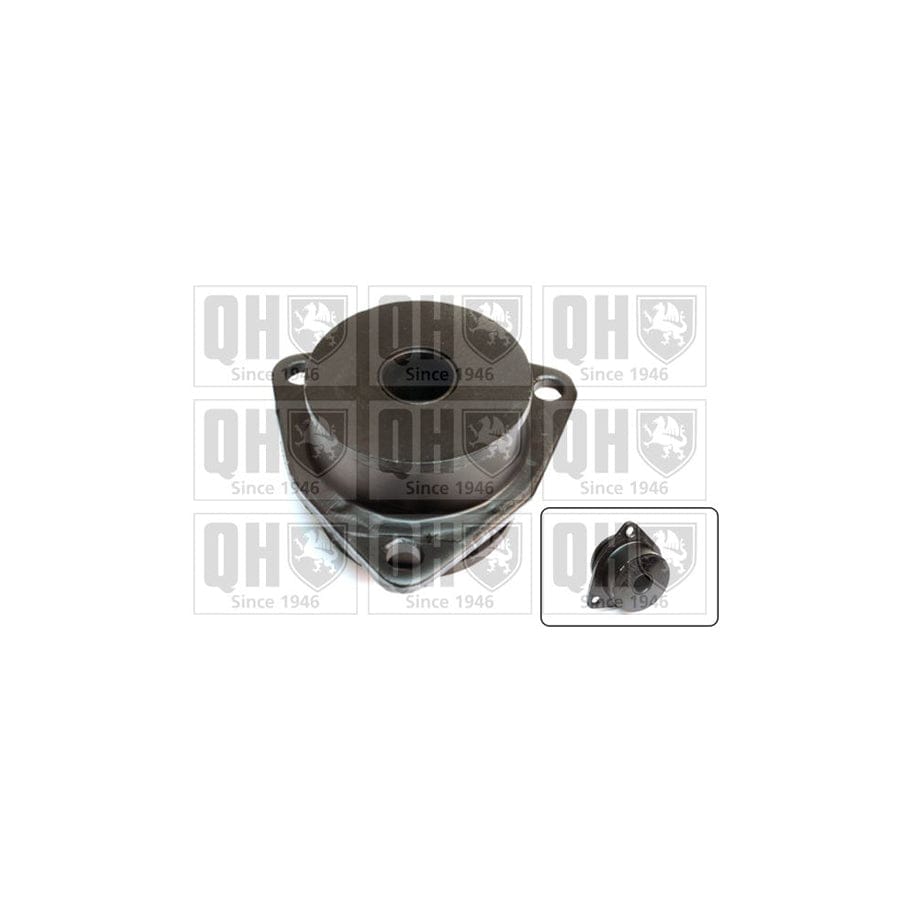 Quinton Hazell Em1696 Axle Bush