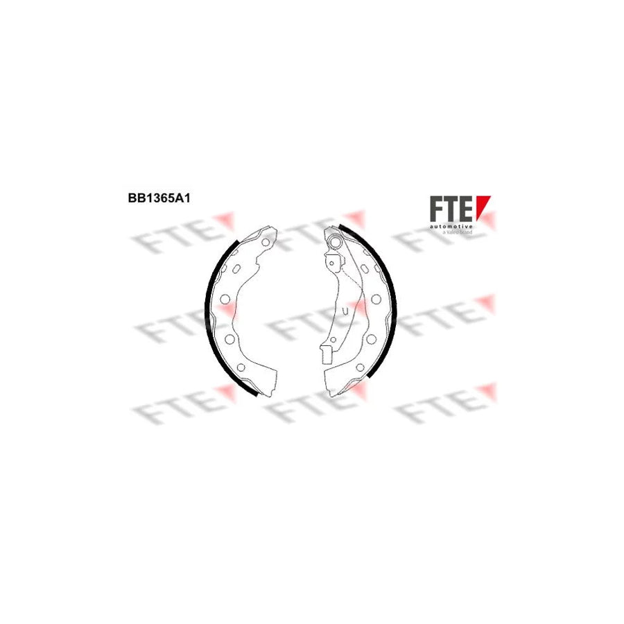 FTE 9100112 Brake Shoe Set