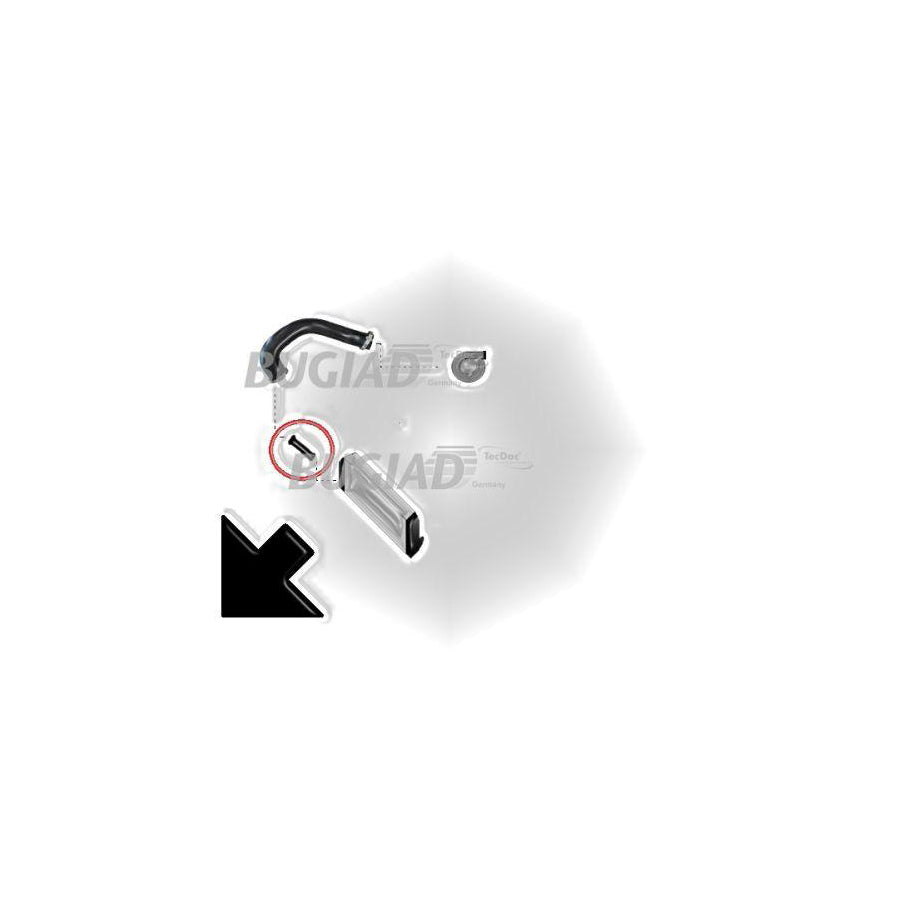 Bugiad 85606 Charger Intake Hose For Opel Corsa