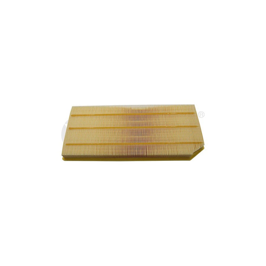 Vika 11330564401 Air Filter