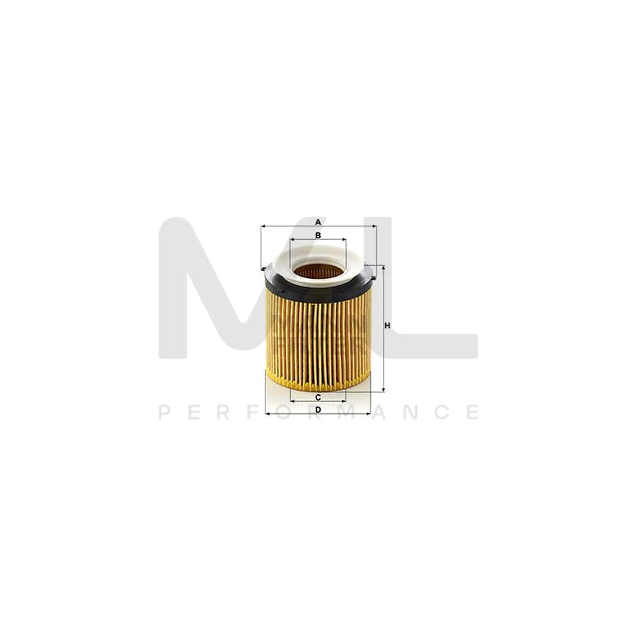 MANN-FILTER HU 8002 x KIT Oil Filter with seal, Filter Insert