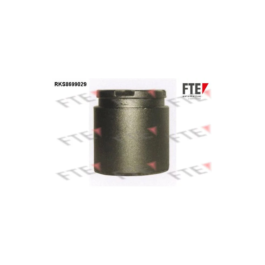FTE Rks8699029 Piston, Brake Caliper