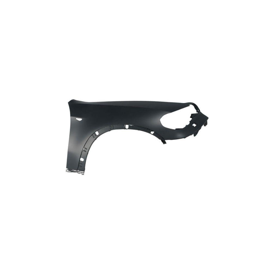 Blic 6504-04-0096318P Wing Fender For BMW X5 (E70)