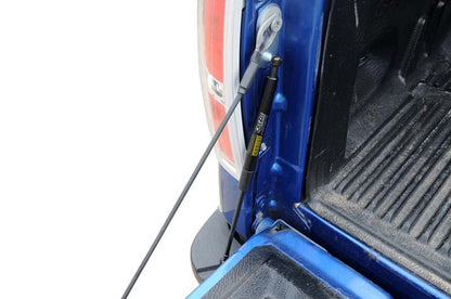 Dee Zee 04-14 Ford F150 Tailgate Assist Shock