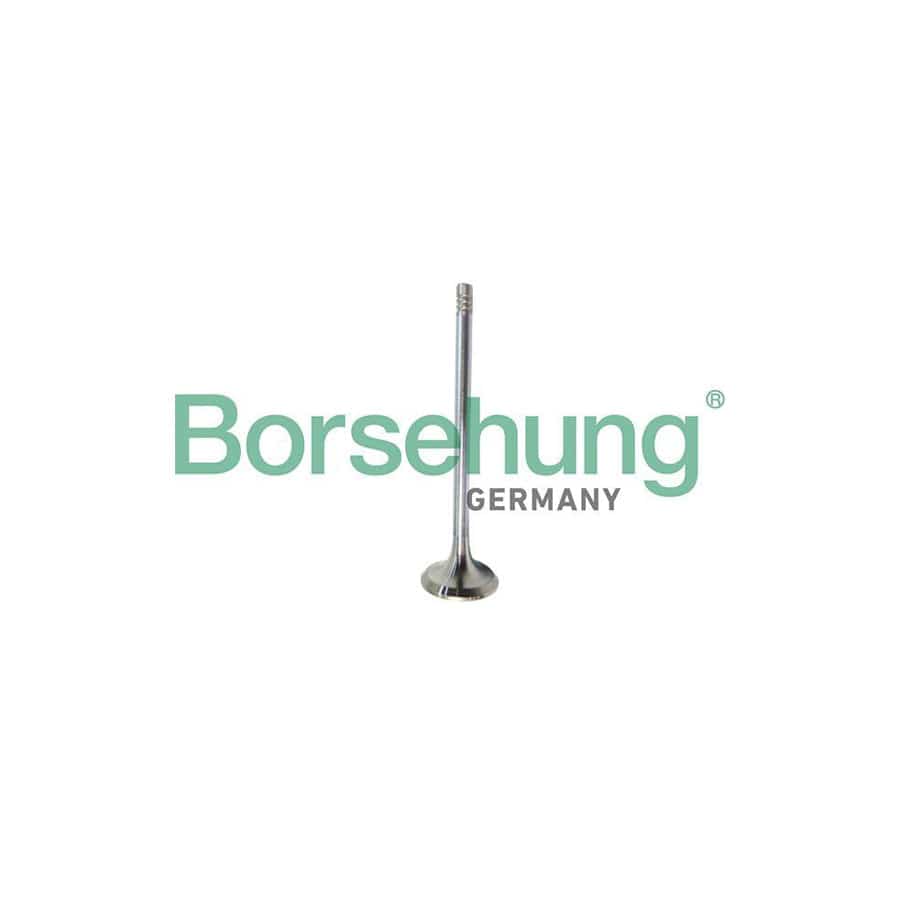 Borsehung B10321 Exhaust Valve