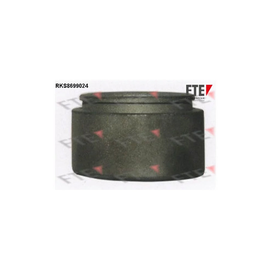 FTE Rks8699024 Piston, Brake Caliper