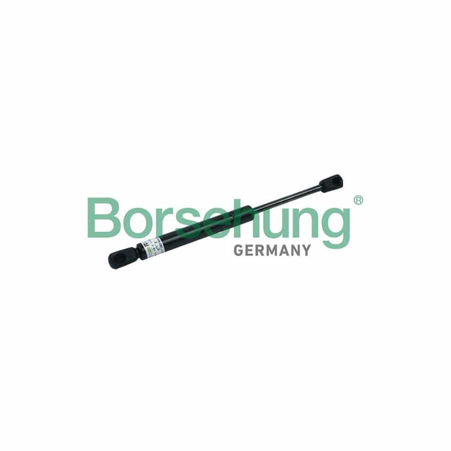 Borsehung B18441 Tailgate Strut for Audi A6