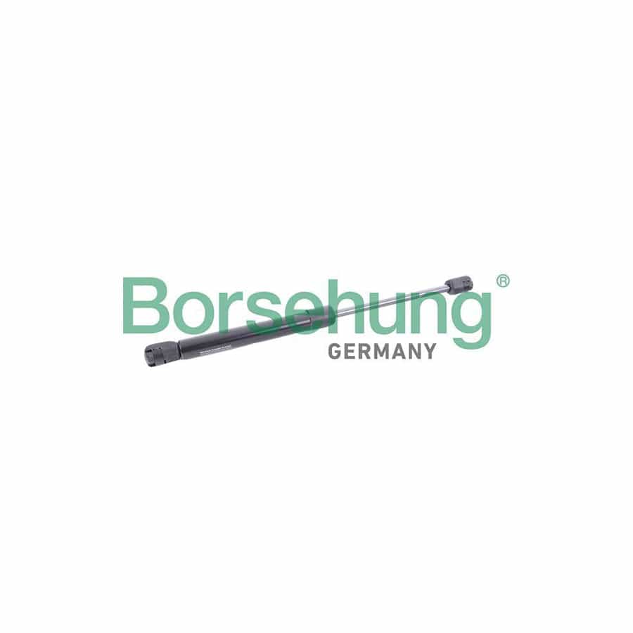 Borsehung B18440 Tailgate Strut for Audi A5 B8 Convertible (8F7)