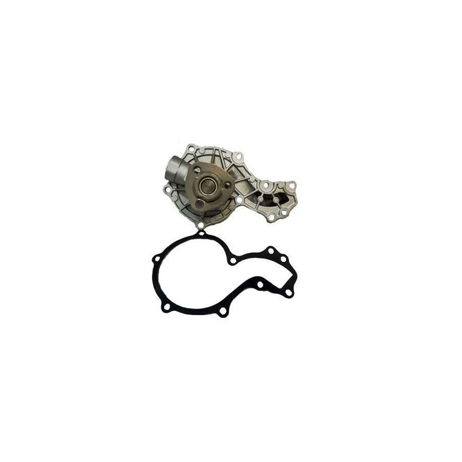 BUGIAD Bsp20032 Water Pump