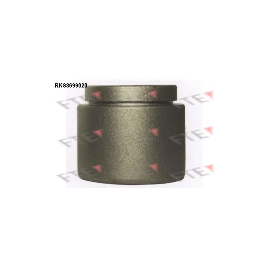 FTE Rks8699020 Piston, Brake Caliper