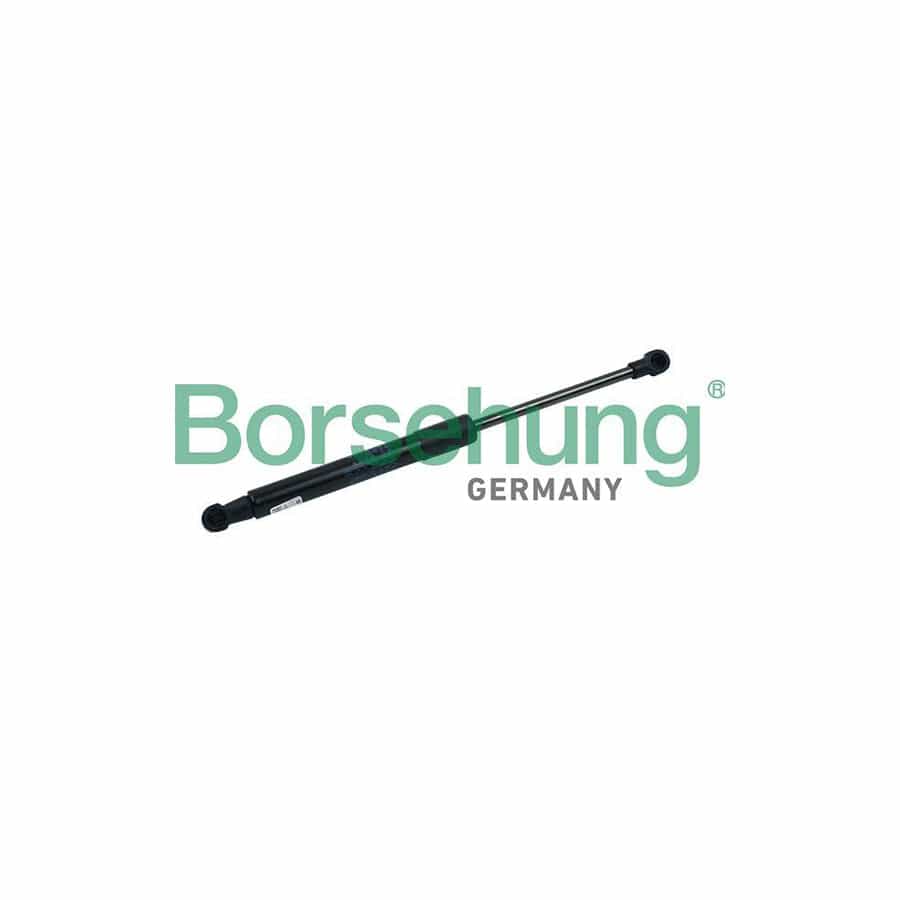 Borsehung B18435 Bonnet Strut for Audi Q5 (8Rb)