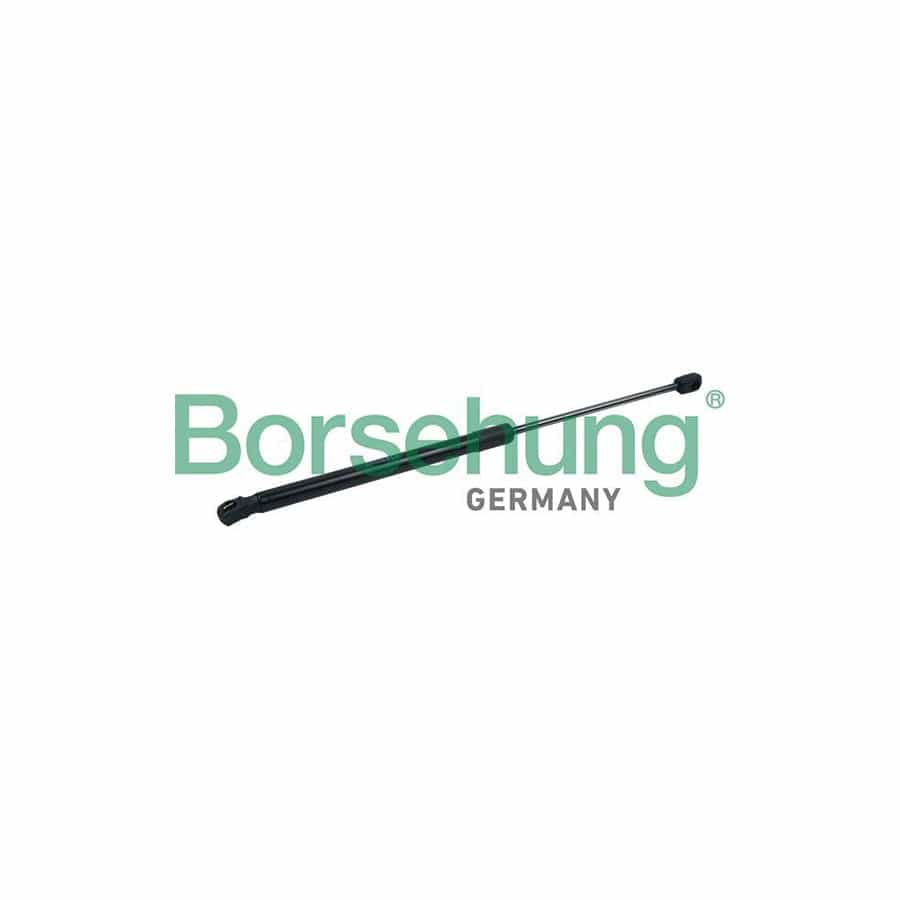 Borsehung B18432 Bonnet Strut for Audi Q7 (4Lb)