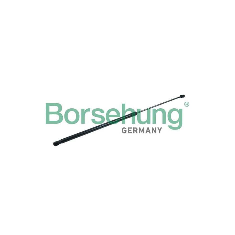 Borsehung B18431 Bonnet Strut for Audi Q3 (8Ub, 8Ug)