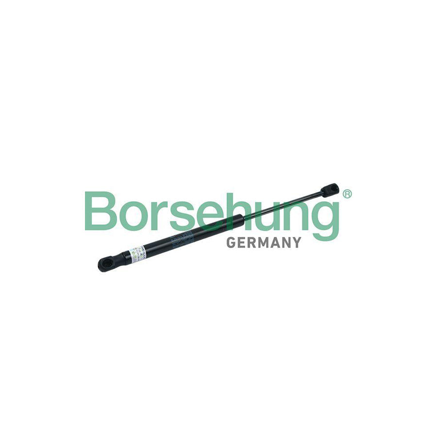 Borsehung B18430 Bonnet Strut for Audi A8 D3 (4E2, 4E8)