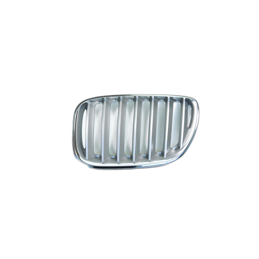 Genuine BMW 51137124815 E53 Grille, Front, Left TITAN 2 (Inc. X5 3.0i, X5 4.4i & X5 4.8is) | ML Performance UK Car Parts
