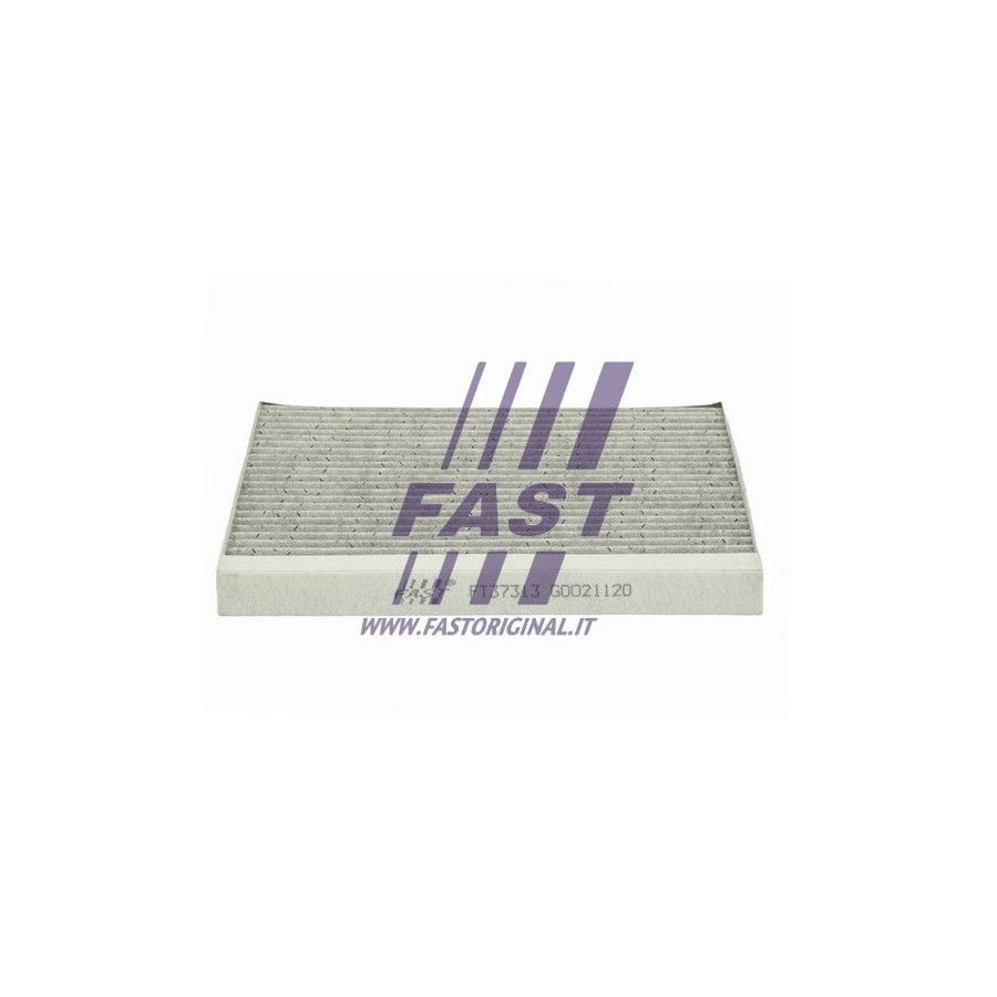Fast FT37313 Pollen Filter