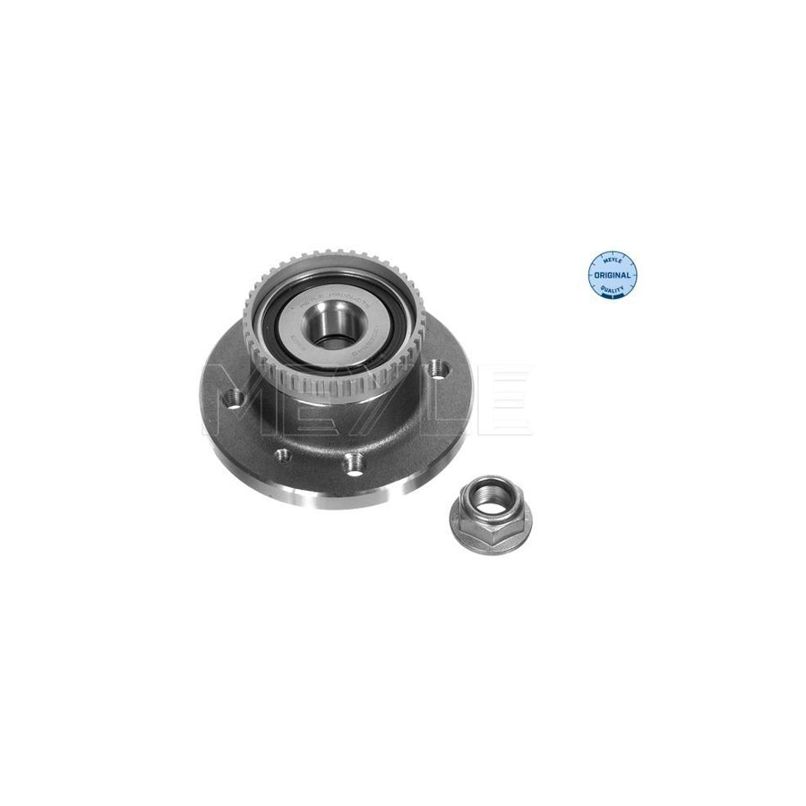 Meyle 16-14 120 5170 Wheel Bearing Kit