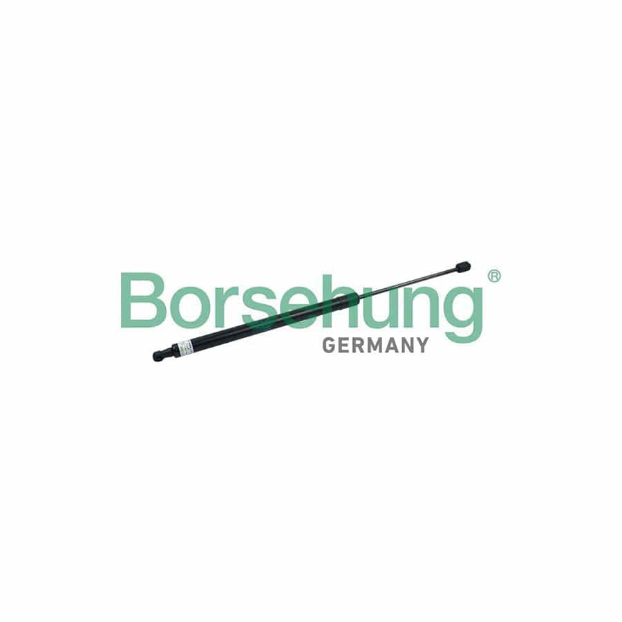 Borsehung B18458 Tailgate Strut for VW Touareg II (7P5, 7P6)