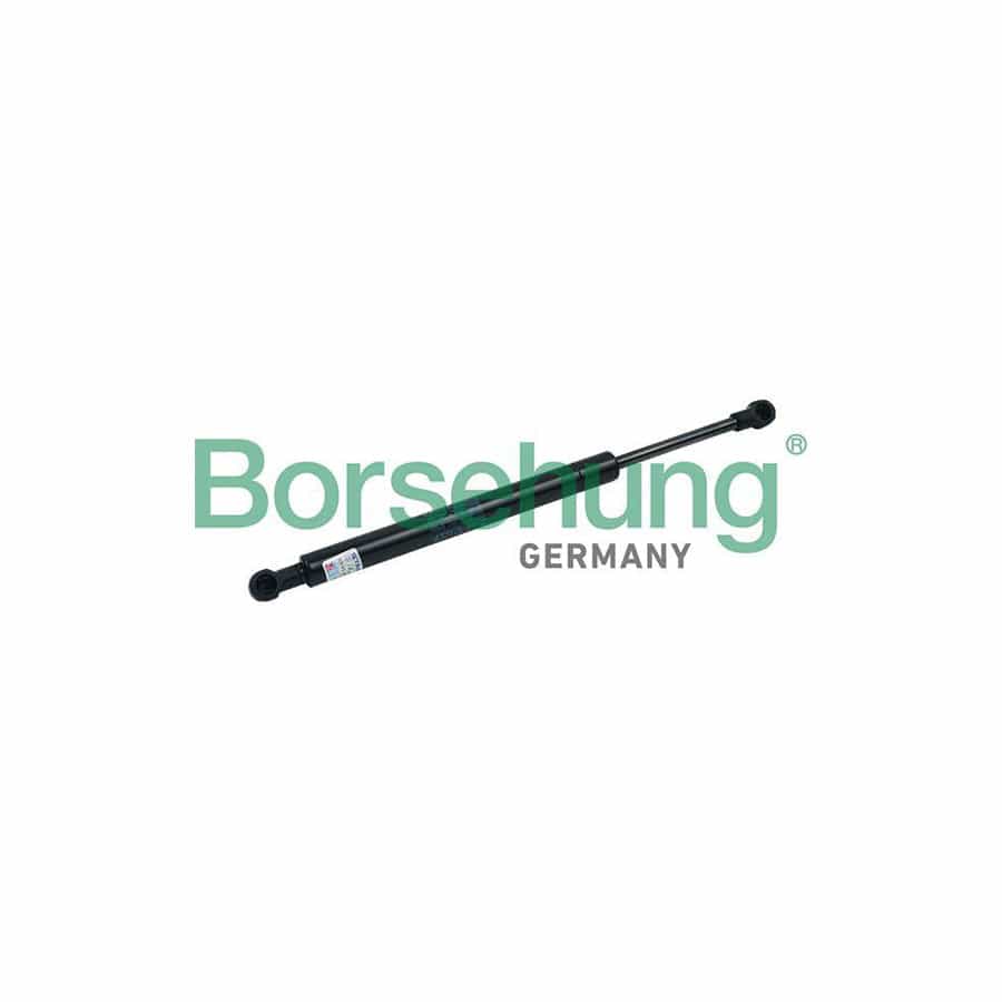 Borsehung B18457 Tailgate Strut for VW Touareg I (7La, 7L6, 7L7)