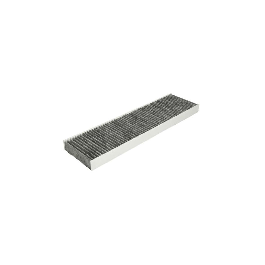 JC Premium B4B025CPR Pollen Filter