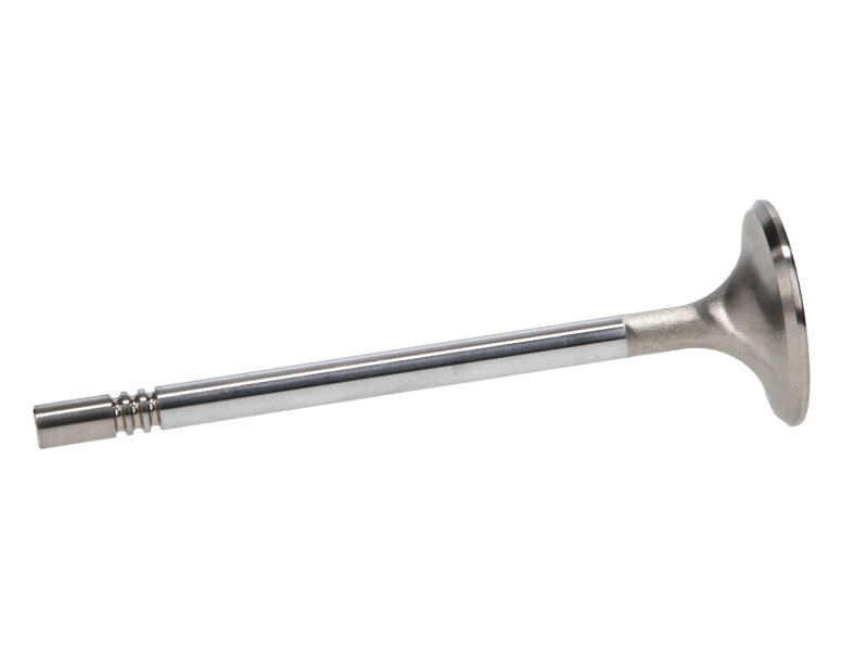 Manley Performance Manley Ford Racing Cylinder Head 4.6L & 5.4L SOHC 36.0mm Race Master Exhaust Valve (Single)