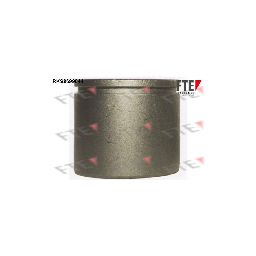 FTE Rks8699044 Piston, Brake Caliper