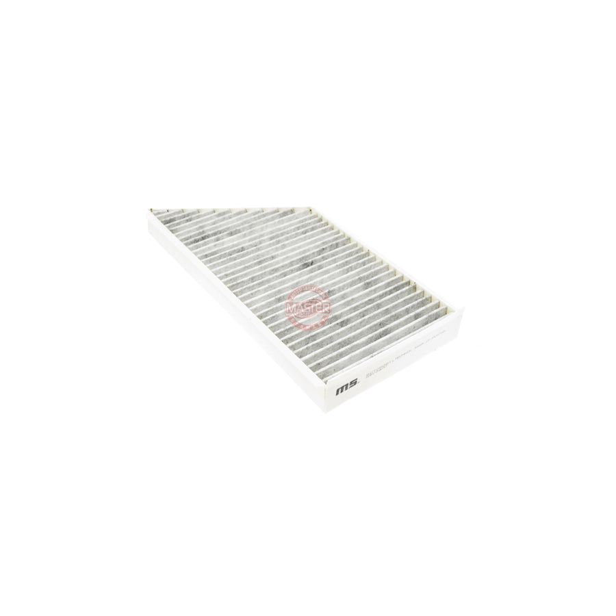 Master Sport 3448-IF-PCS-MS Pollen Filter