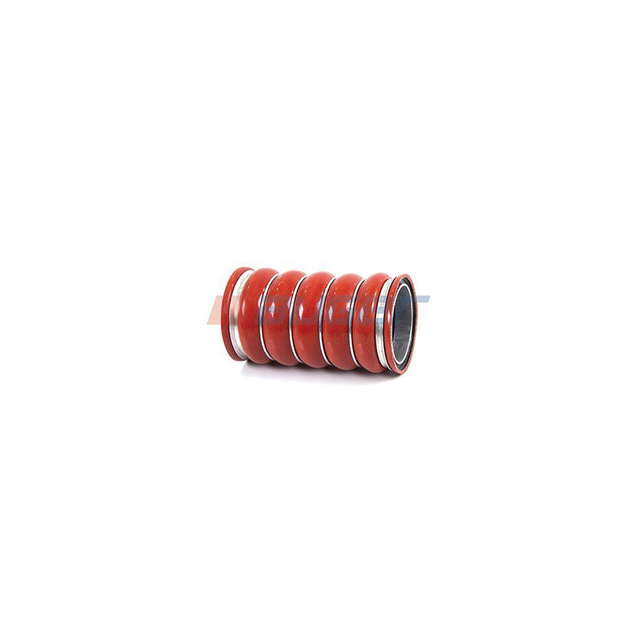 Auger 220305 Shock Absorber