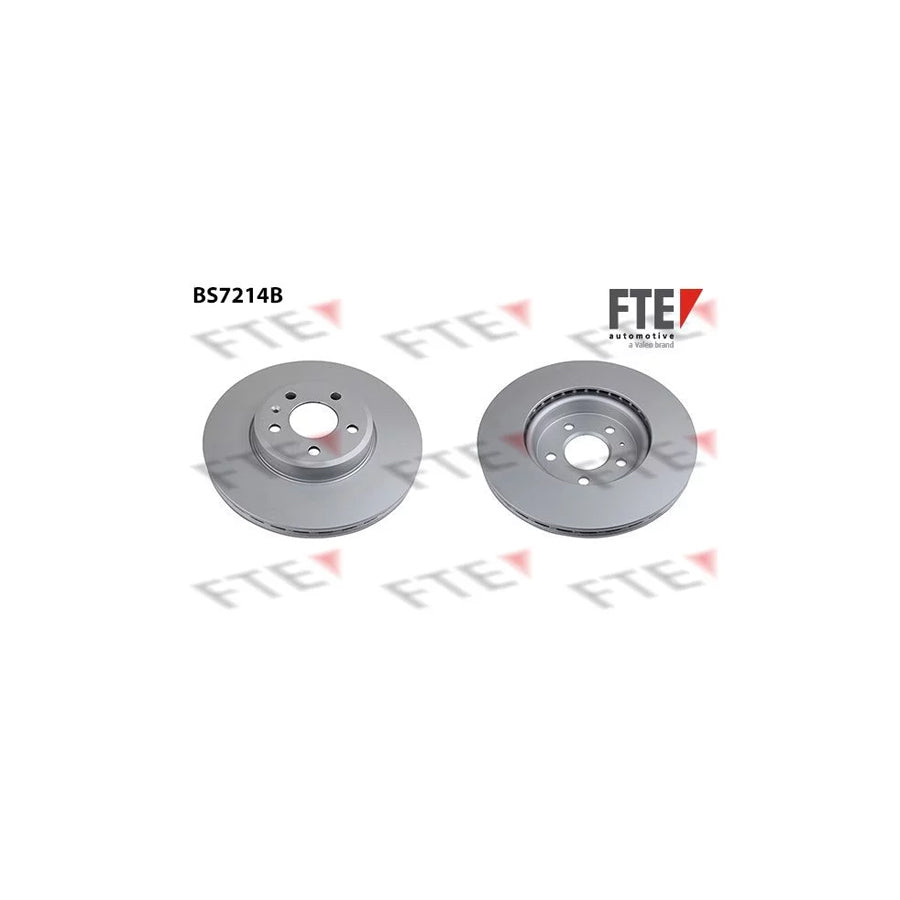 FTE 9081018 Brake Disc