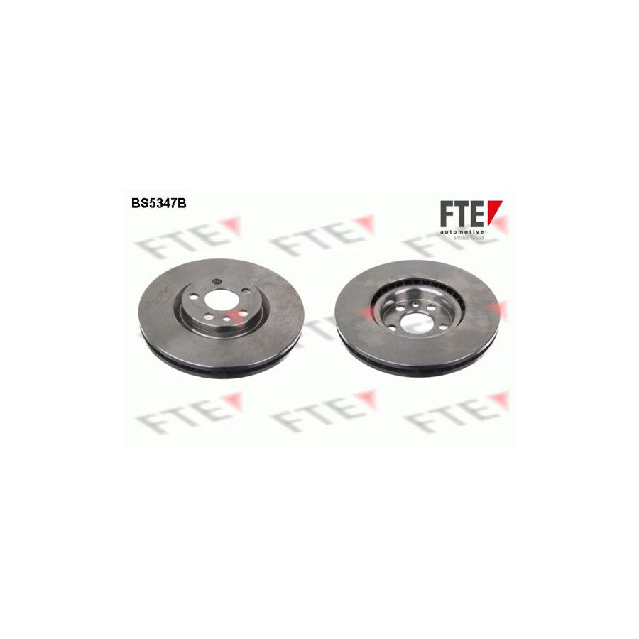 FTE 9081014 Brake Disc