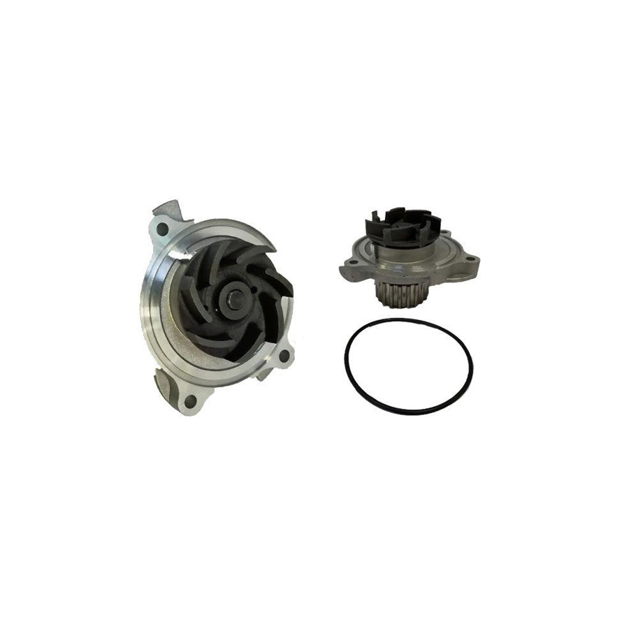 BUGIAD Bsp20042 Water Pump
