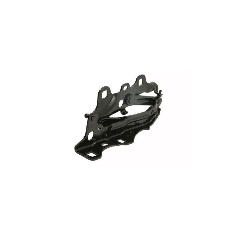 Blic 6802-00-3209451P Hinge, Bonnet