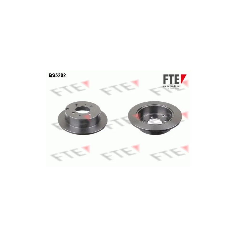 FTE Bs5202 Brake Disc