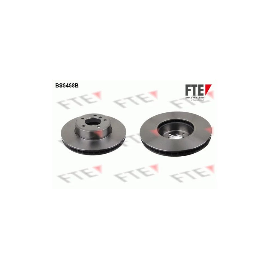 FTE 9081013 Brake Disc