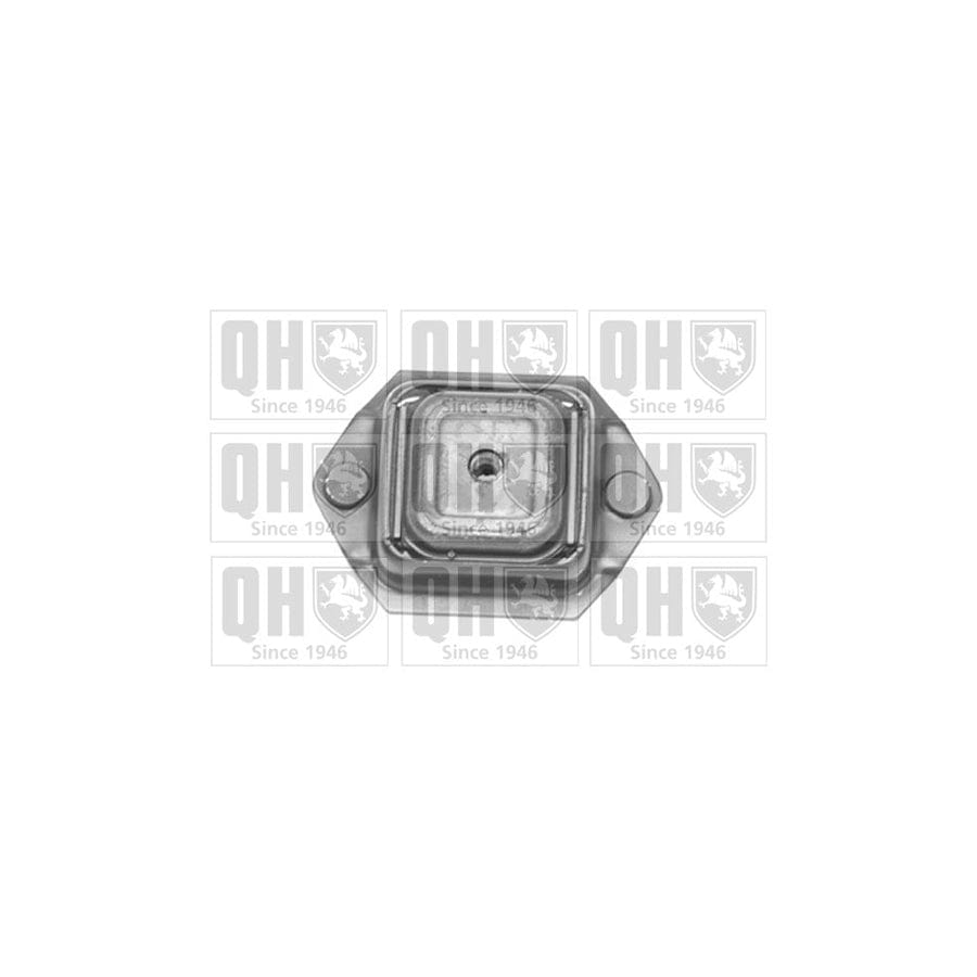 Quinton Hazell Ems8323 Axle Bush