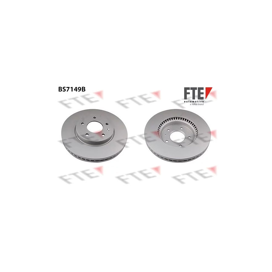 FTE 9081042 Brake Disc