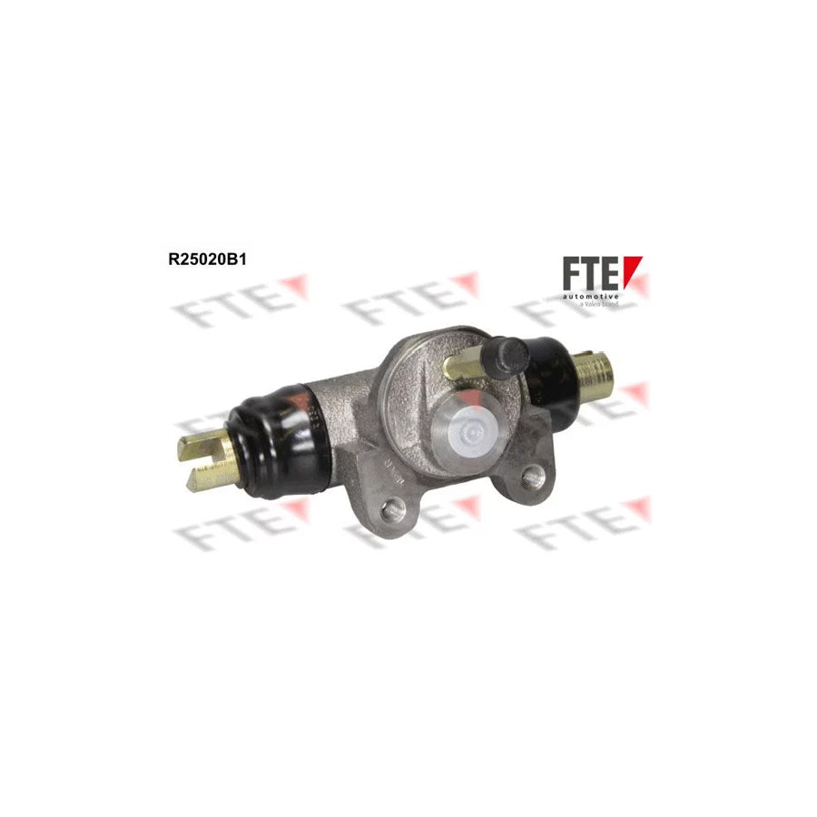 FTE R25020B1 Wheel Brake Cylinder