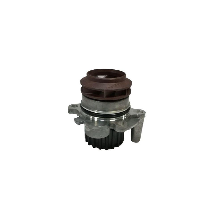 BUGIAD Bsp20036 Water Pump
