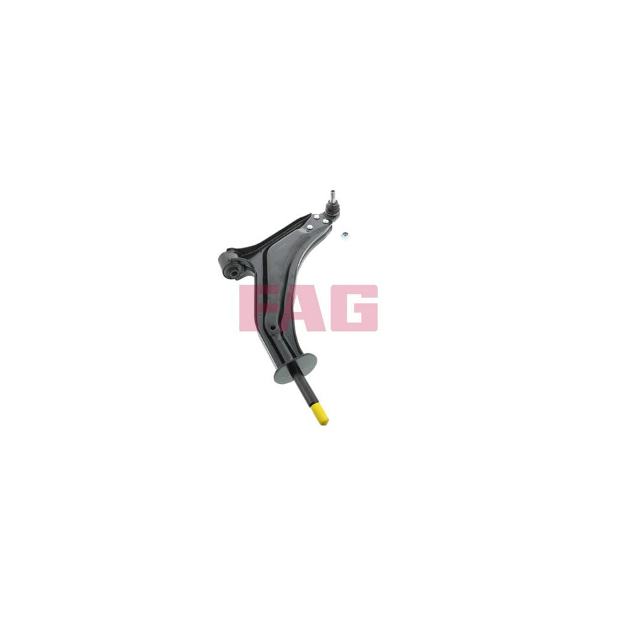 FAG 821 0068 10 Suspension Arm For Land Rover Freelander