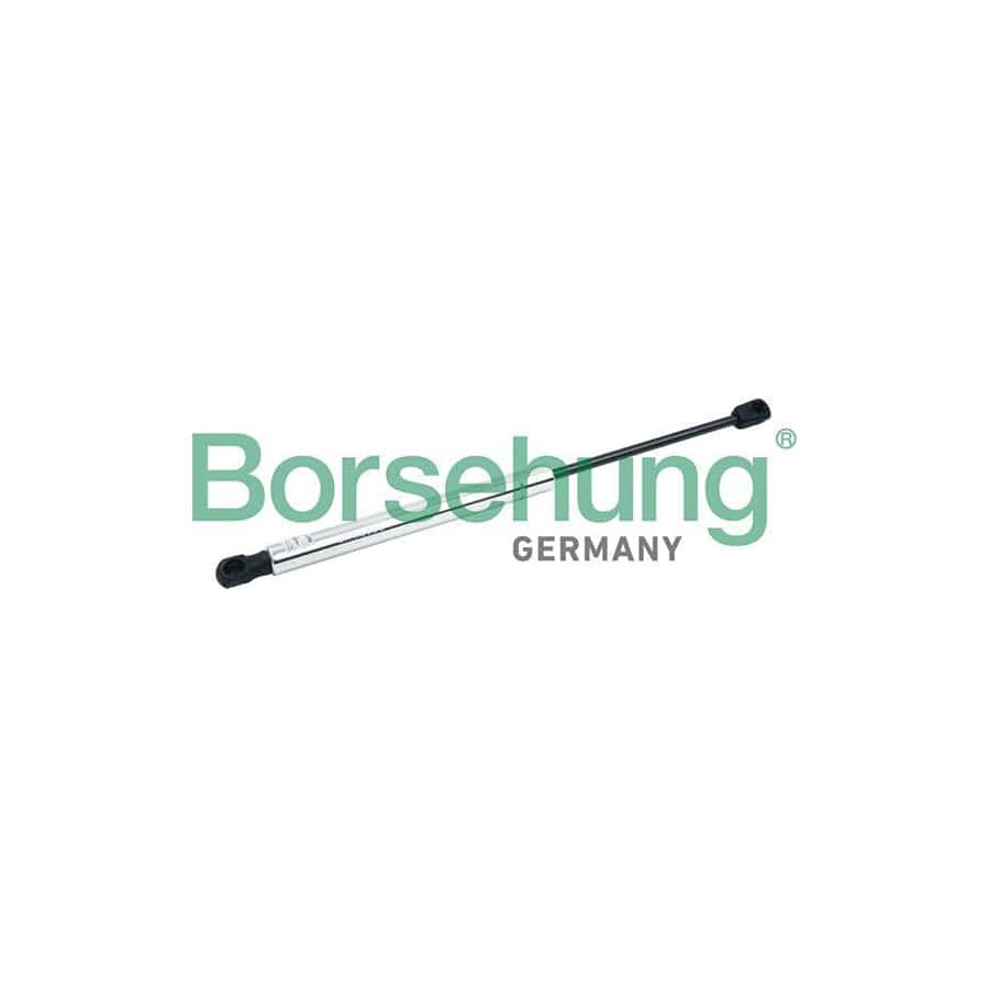 Borsehung B18449 Tailgate Strut for Audi A8 D3 (4E2, 4E8)