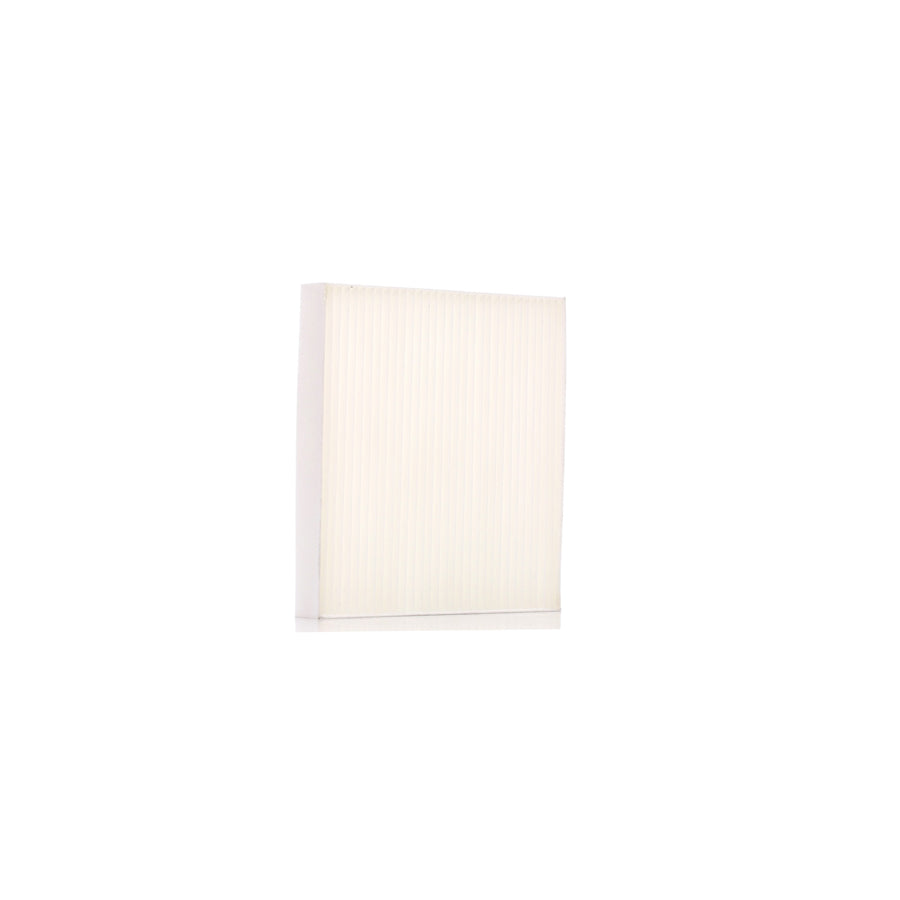 Dr!Ve+ DP1110.12.0110 Pollen Filter