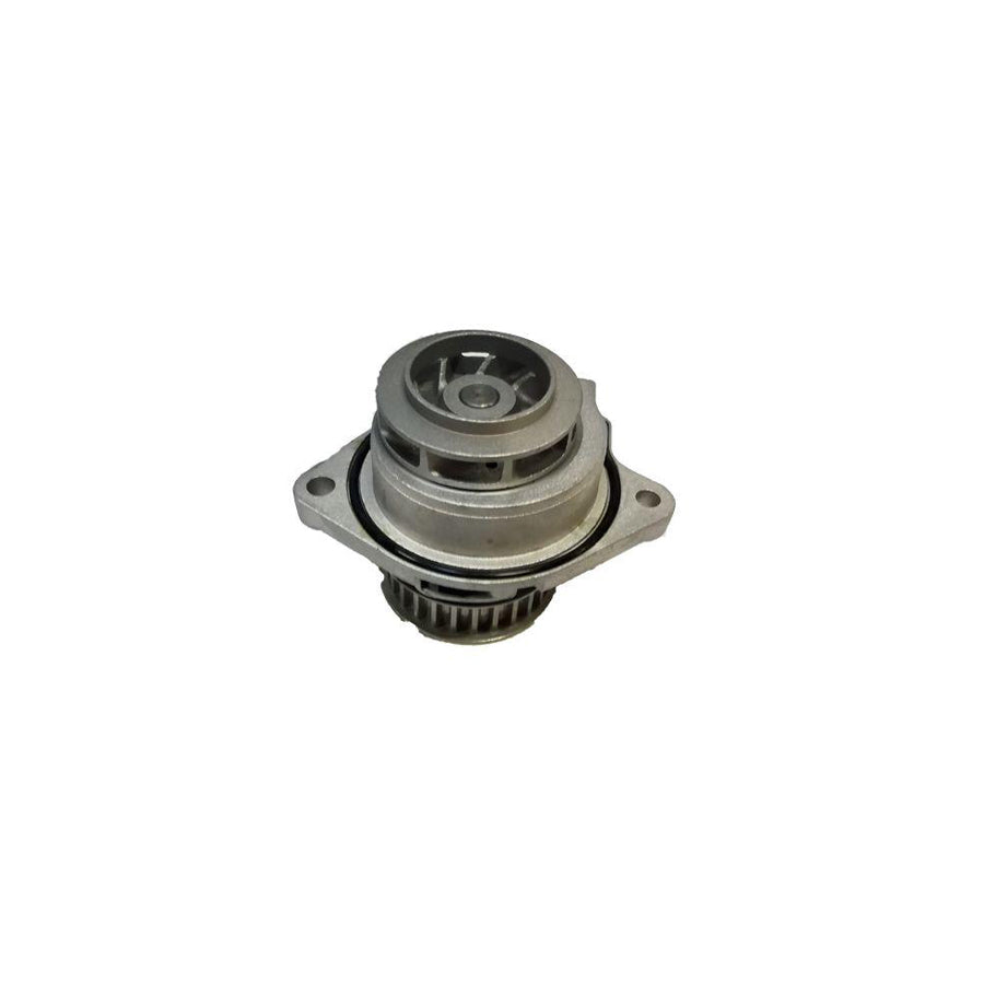 BUGIAD Bsp20035 Water Pump