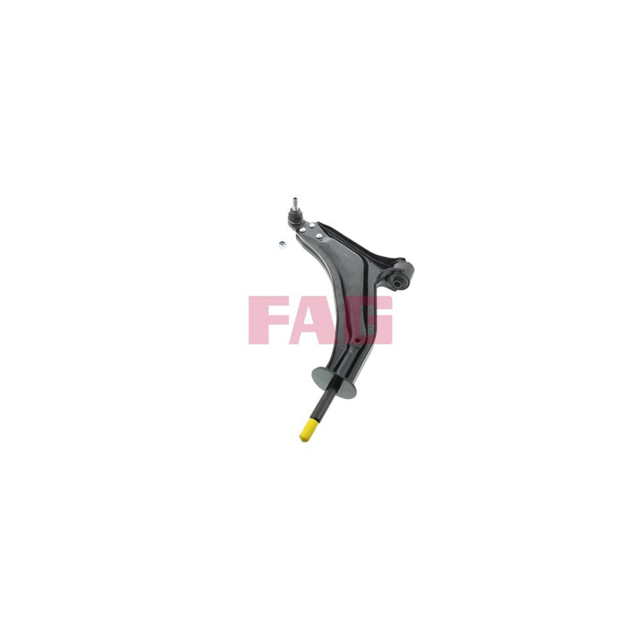 FAG 821 0067 10 Suspension Arm For Land Rover Freelander