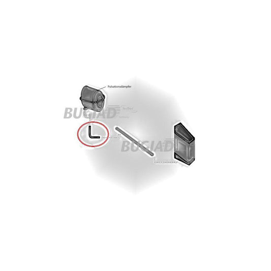 Bugiad 86602 Charger Intake Hose For Audi A6