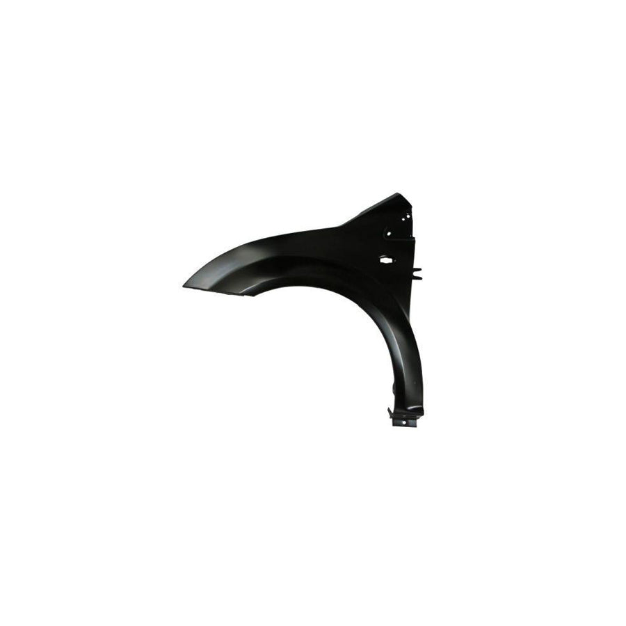 Blic 6504-04-0511311Q Wing Fender For Citroen C2