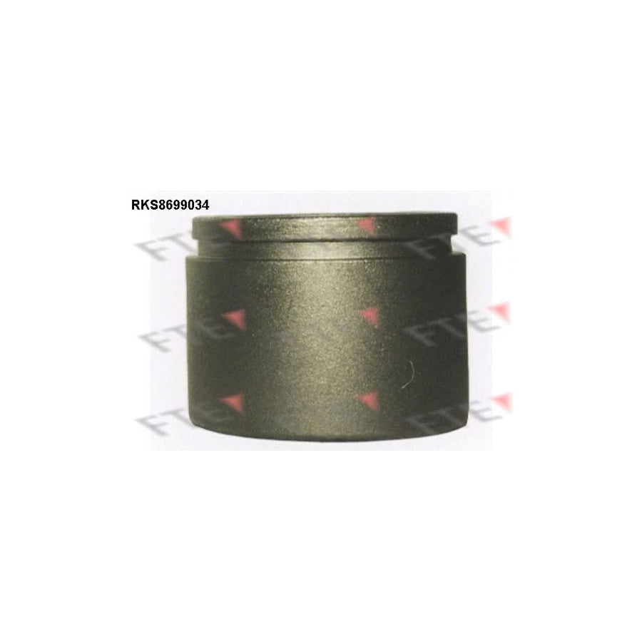 FTE Rks8699034 Piston, Brake Caliper